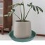 Bleuhome 2 Pack 14 Inch Plant Saucers - Heavy Duty Plastic Drip Trays & Bird Bath Bowls 5
