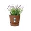 Elho Greenville Round 20 Vaso con serbatoio idrico integrato per Interno/esterno, Plastica Riciclata Ø 19.5 x H 18.4 cm - Marrone/Ginger Brown 3