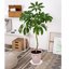 Bleuhome 2 Pack of 14 Inch Plant Saucers - Heavy Duty Plastic Round Drip Trays and Bird Bath Bowls 5