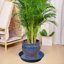 Bleuhome 3 Pack Large Deep Plant Saucers - 26 Inch Heavy Duty Plastic Flower Pot Drip Trays for Indoor and Outdoor Use 3
