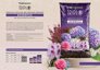 TerComposti Terriccio Acidofile TRIPLO 45 - Miscela Professionale con Proteine e Torba - pH 4.5 per Piante Acidofile 2