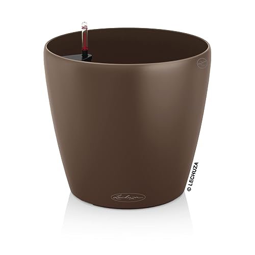 Lechuza Classico Color 43 Nutmeg 16.5"