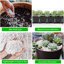 Legigo 4 Quarts Organic Horticultural Perlite - Natural Soil Additive for Drainage, Aeration and Root Growth 5