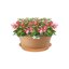 Elho Green Basics Saucer 45 Sottovaso per Interno ed Esterno - Marrone Mild Terra 3