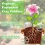 Riare 2 LBS Organic Expanded Clay Pebbles - 4mm-16mm Natural LECA Balls for Hydroponics, Aquaponics, and Indoor Plants 3