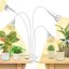 SANSI LED Grow Lights for Indoor Plants, 40W Full Spectrum Clip-on Gooseneck Plant Light with Patented Ceramic Technology 1