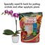 Better-Gro Orchid Bark Premium Grade Potting Medium, 4 Quarts (Pack of 2) 5