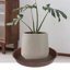 Bleuhome 3 Pack Large Plant Saucers - 22 Inch Heavy Duty Plastic Drip Trays for Flower Pots and Bird Baths 6