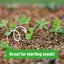 Back to the Roots 100% Organic Vermiculite 24qt Value Pack - Premium Horticultural Grade Soil Amendment 5