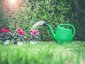 Ecoplast Annaffiatoio da Giardino 10 Litri in Plastica Riciclabile - Verde 5