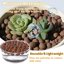 Legigo 7 LB Organic Leca Clay Pebbles, 4mm-16mm Natural Hydroton Balls for Hydroponics, Aquaponics, Orchids and Indoor Plants 4