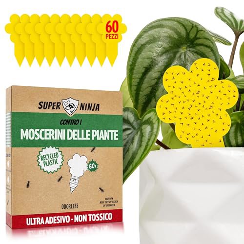 Super Ninja 60 Trappole Adesive Anti Moscerini delle Piante