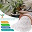 Legigo 6 Quarts Organic Horticultural Perlite - Natural Soil Additive for Drainage, Aeration and Root Growth 3
