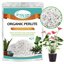 Legigo 4 Quarts Organic Horticultural Perlite - Natural Soil Additive for Drainage, Aeration and Root Growth 1