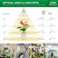 SANSI 36W LED Lampadina per Piante da Interno E27 Spettro Completo 4000K Luce Diurna Grow Light per Ortaggi e Fiori 3