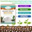 Legigo 8 Quarts Organic Horticultural Perlite - Natural Soil Additive for Drainage, Aeration and Root Growth 2
