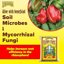 FoxFarm Happy Frog Soil Conditioner 1.5 cu ft - Organic Amendment with Mycorrhizae & Humic Acids for Enhanced Root Growth and Nutrient Uptake 3
