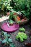 Elho Green Basics Saucer Sottovaso Rosa 22 CM per Interno ed Esterno 4