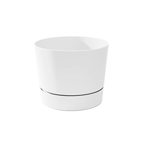 Root & Vessel Majestic Low Profile White 10.5"