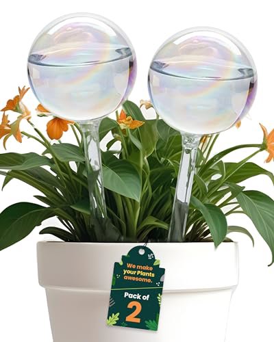 PlanKKers Iridescent Glass Globes Medium 2Pcs