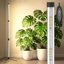 SANSI T10 Standing Full Spectrum Grow Light - 55W Vertical LED Plant Lamp with 5-Level Dimming and Timer 1