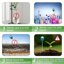 XLUX Long Probe Deep Use Soil Moisture Meter Sensor, 2 Pack - Professional Hygrometer for Large Pots, Gardening & Farming 5