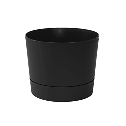 Root & Vessel Majestic Low Profile Black 12.5"