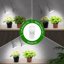 SANSI Lampada per Piante LED 20W Spettro Completo con 2 Teste E27 Regolabili 5