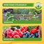 Solabiol Concime Liquido Biologico 1L - Biostimolante Natural Booster per Aromatiche e Piccoli Frutti - Stimola Radici, Fiori e Raccolto 6