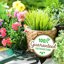 Back to the Roots 100% Organic Vermiculite 24qt Value Pack - Premium Horticultural Grade Soil Amendment 6