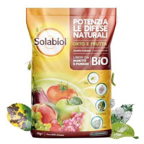 Solabiol Zeolite Cubana 1kg - Corroborante Naturale per Piante - Protezione da Insetti, Funghi e Stress Abiotico - Ideale per Orto, Frutteto e Fiori
