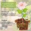 Legigo 19 LBS Organic Leca Clay Pebbles, 4mm-16mm Natural Hydroton Balls for Hydroponics, Aquaponics, Orchids and Indoor Plants 4