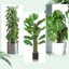 Kit 6 Bastoncini di Muschio in Plastica per Monstera - Supporto Autoirrigante a Forma di D con Picchetti, Etichette e Fascette 6