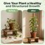 The Blooming Jungle 4 Pack 16" Moss Pole Monstera Plant Support - Stackable up to 48" Coco Coir Stakes with Installation Kit 6