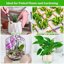 Legigo 10 Quarts Organic Horticultural Perlite - Natural Soil Additive for Drainage, Aeration and Root Growth 6