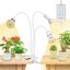 SANSI Lampada per Piante a LED 30W Spettro Completo con Timer 4/8/12 Ore e 3 Teste a Collo di Cigno Regolabili, Equivalente a 450W, Attacco E27 per Coltivazione Indoor 1