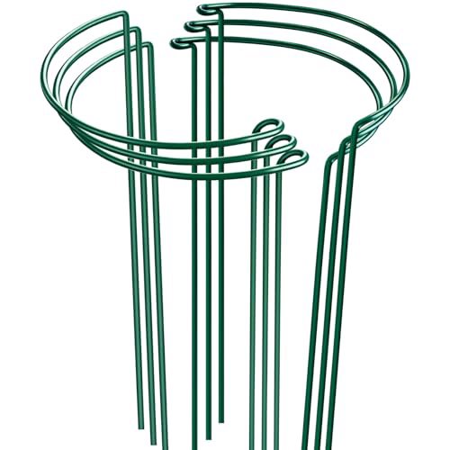 HiGift 6pk 24" Peony Cages
