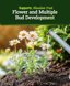 FoxFarm Tiger Bloom Liquid Plant Food - High Phosphorus Fertilizer for Flowering, Buds & Blooms - 2-8-4 NPK Micronutrient Formula for Soil and Hydroponics - 1 Pint 5