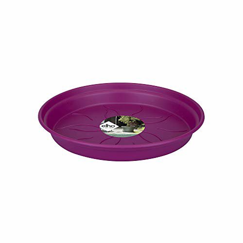 Elho Green Basics Saucer Rosa 25cm