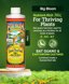 Fox Farm Big Bloom Liquid Plant Food - Organic Flowering & Fruiting Fertilizer with Bat Guano and Earthworm Castings - 0-0.5-0.7 NPK, 1 Pint 2