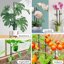 SupKing 16Pcs Adjustable Plant Support Stakes - Fiberglass Orchid Sticks with Clips and Ties for Indoor & Outdoor Garden 6