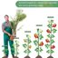 SupKing 16Pcs Adjustable Plant Support Stakes - Fiberglass Orchid Sticks with Clips and Ties for Indoor & Outdoor Garden 5