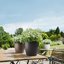 Lechuza Classico Color 28 Nutmeg Self-Watering Round Planter 11" 6
