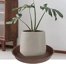 Bleuhome 2 Pack 10 Inch Plant Saucer Chocolate - Heavy Duty Plastic Round Drip Trays for Indoor & Outdoor Flower Pots 3