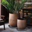 Bleuhome 2 Pack 8 Inch Plant Saucer Cement - Heavy Duty Plastic Round Drip Trays for Indoor & Outdoor Flower Pots 5