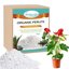 Legigo 6 Quarts Organic Horticultural Perlite - Natural Soil Additive for Drainage, Aeration and Root Growth 1