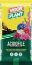 Vigorplant Terriccio per Acidofile 20L - Substrato Professionale per Azalee, Ortensie, Camelie e Rododendri - pH Acido - Ideale per Vaso e Giardino 1