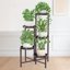 iDavosic.ly 5-Tier Corner Plant Stand, Metal Indoor Outdoor Flower Display Shelf, Folding Tall Orchid Rack for Patio Balcony Garden and Living Room - Violet Bronze 1