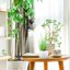SANSI LED Grow Lights for Indoor Plants, Full Spectrum Gooseneck Clamp Lamp, 20W High PPFD Plant Light with Replaceable Bulbs 7