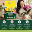 Vigorplant Terriccio Orchidee Professionale 10L - Substrato con Corteccia di Pino, Fibra di Cocco e Torba Baltica - Miscela Aerata e Drenante per Orchidee Epifite e Terrestri 3